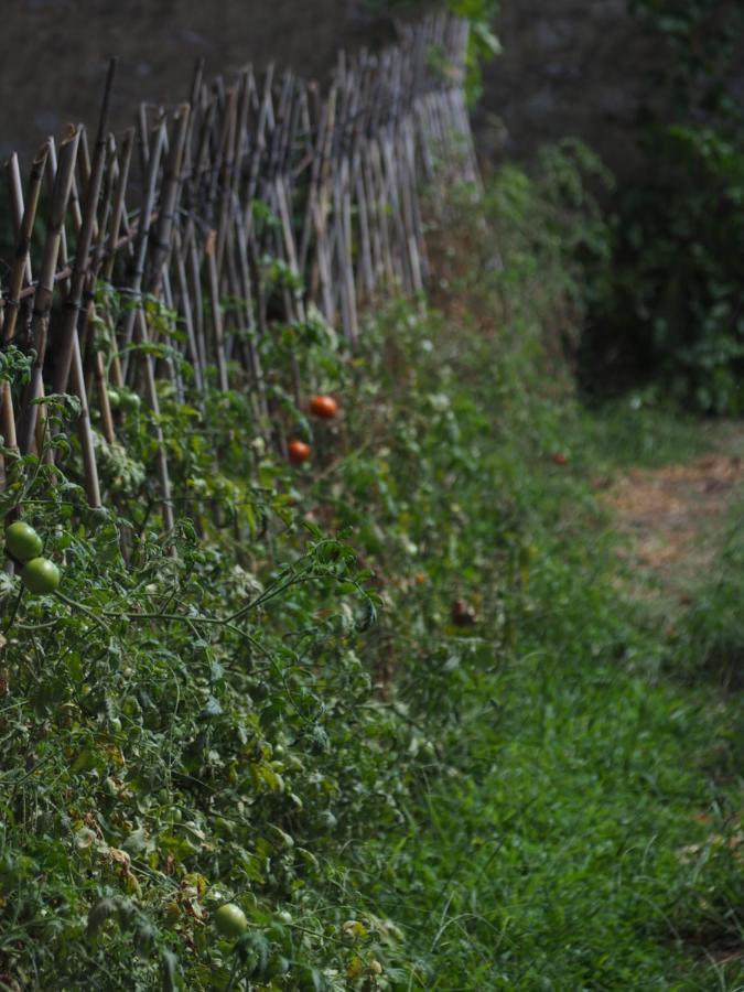 Turismo Rural Can Massot Darnius Eksteriør bilde
